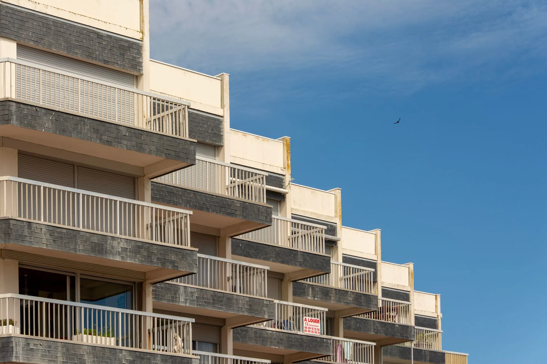 Congé pour vente : le locataire est-il prioritaire ?